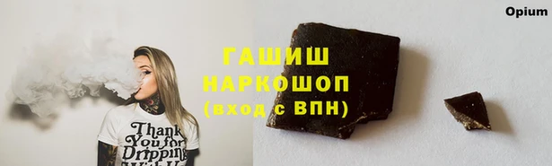 гидра Бронницы