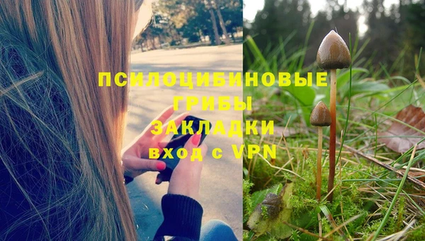 гидра Богородицк