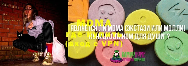 гидра Богородицк