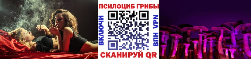 ссылка на мегу как войти  Кировград  Псилоцибиновые грибы прущие грибы 